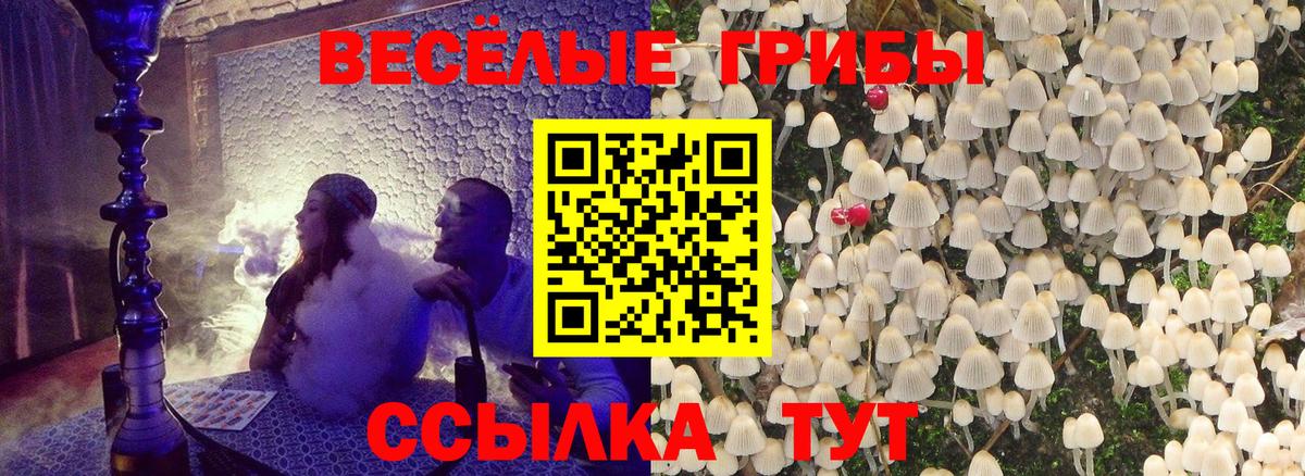 Псилоцибиновые грибы мухоморы Зеленокумск