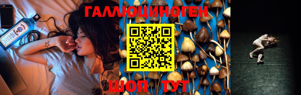 Зеленокумск  Псилоцибиновые грибы мицелий  Вход с VPN 